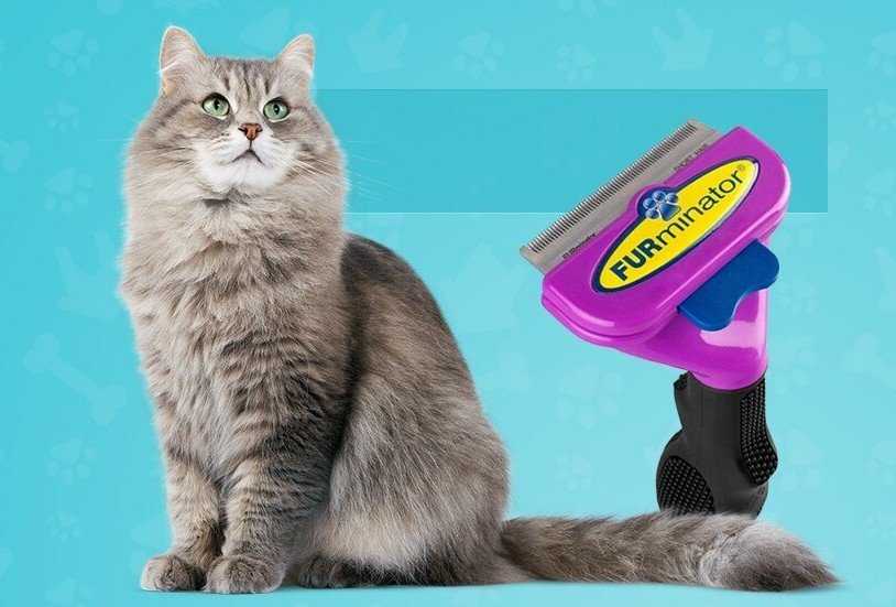Расчески для кошек, виды: пуходерки, рукавицы, щетки, как выбрать подходящий аксессуар для вычесывания питомца