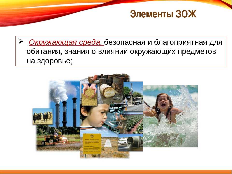 Сочинение "берегите природу" для школьников :: syl.ru