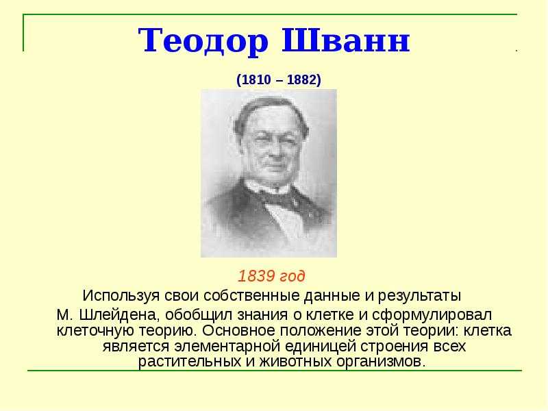 Теодор шванн