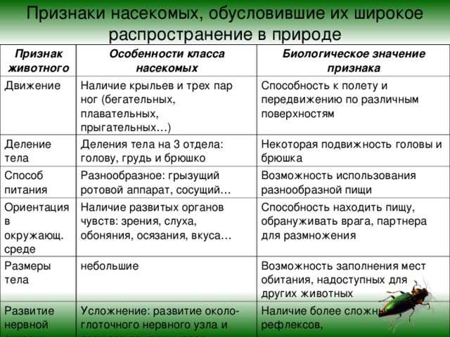 Яйцо членистоногих | справочник пестициды.ru