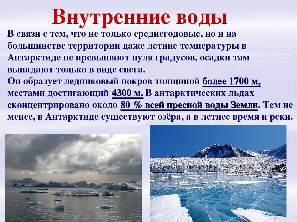 Конспект "антарктида" - учительpro