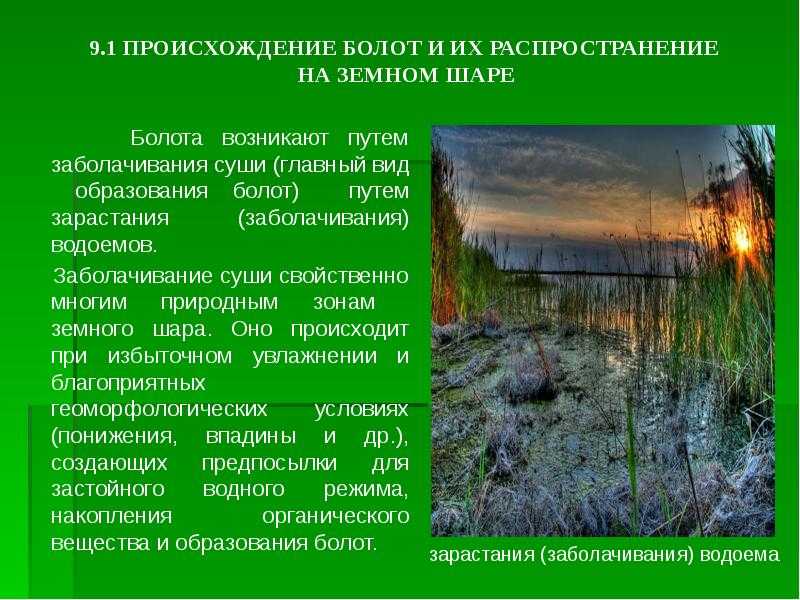 Самые большие болота в россии