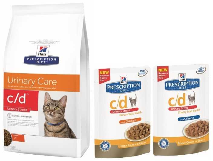 Каким сухим кормом лучше кормить кошку: советы ветеринаров и рейтинг от независимых экспертов