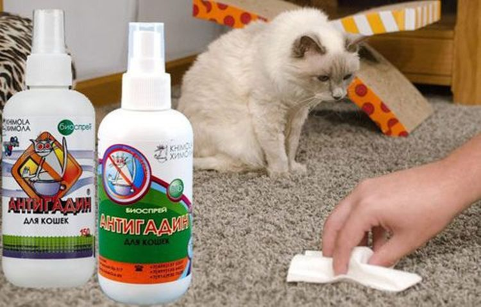 Какой запах отпугивает кошек: 7 народных методов + топ 5 товаров