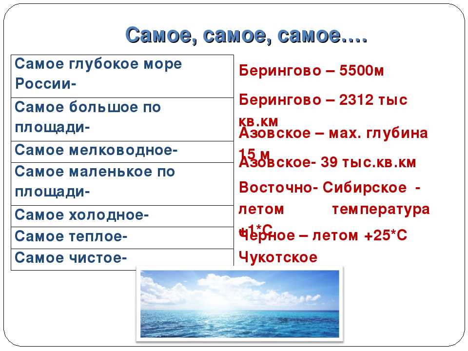 Солёность воды в океане: что это, в чём измеряется, от чего зависит - сила-воды.ру