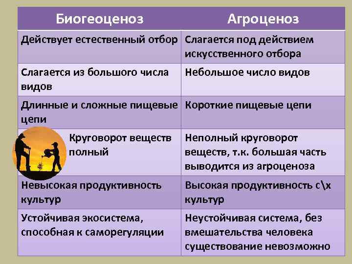 Сравните эти экосистемы по плану видовой состав вид энергии