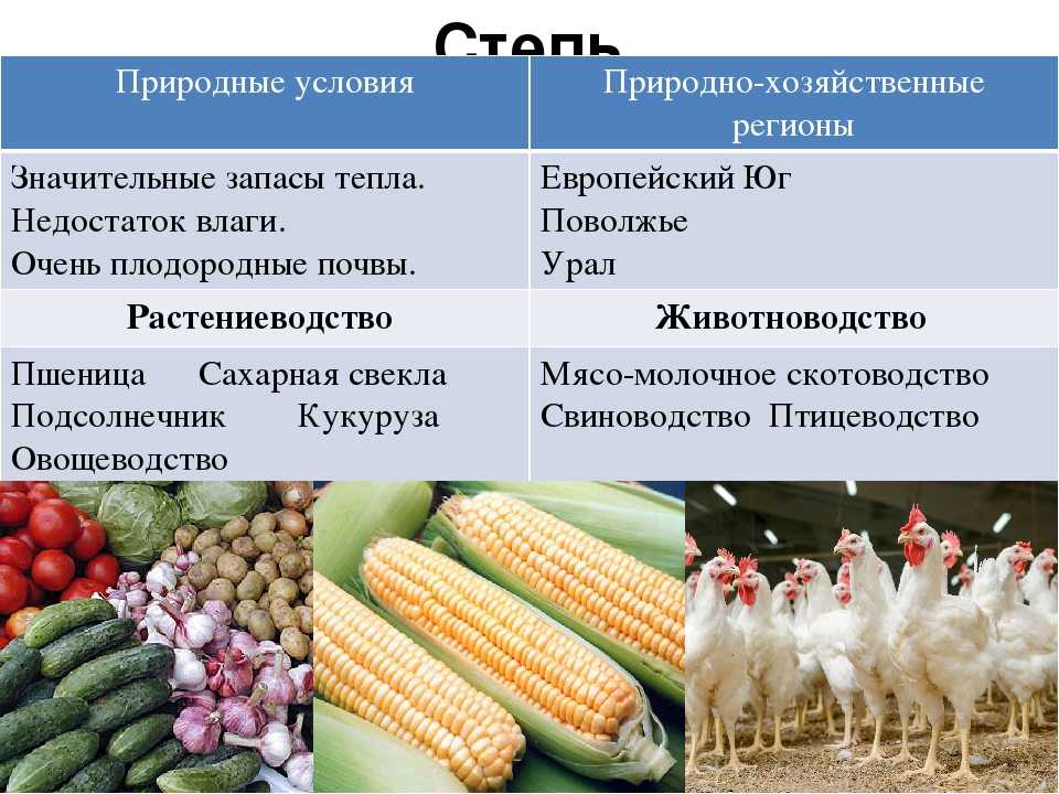 Особенности растениеводства в россии