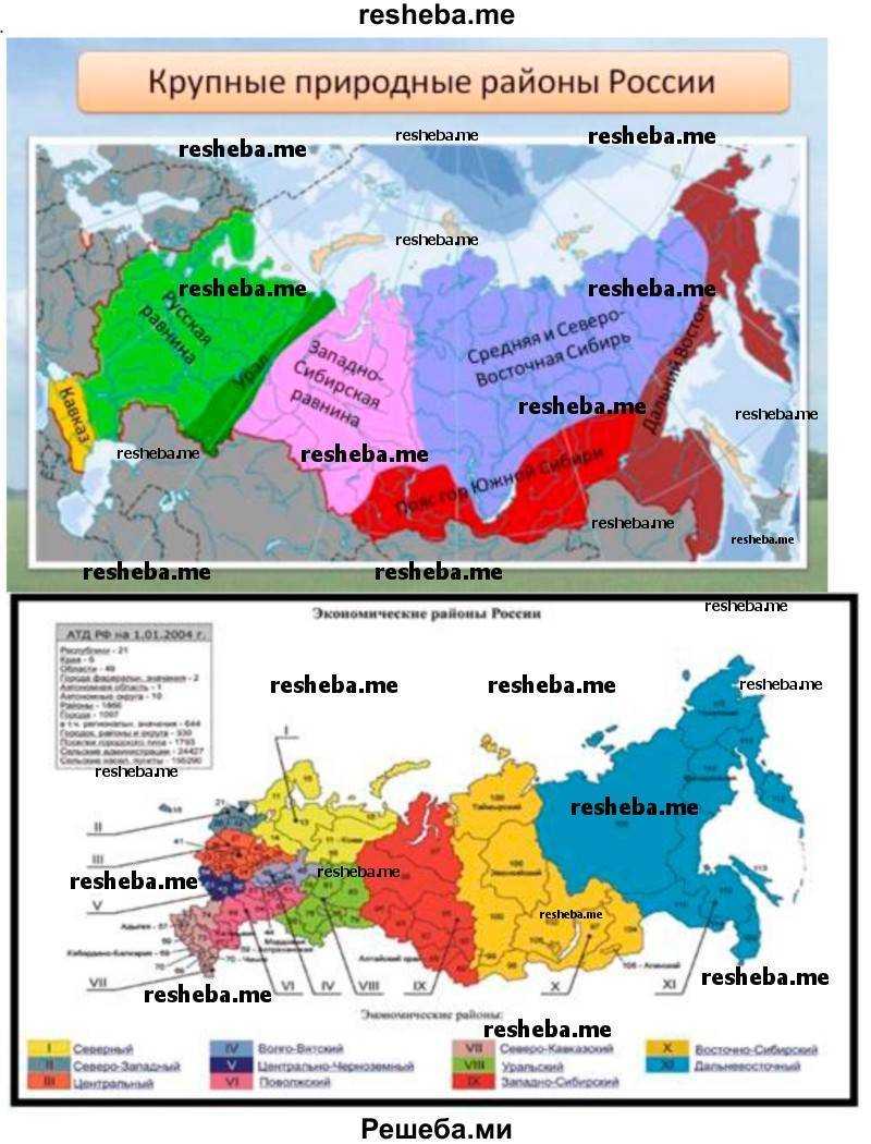 Природные зоны центральной россии: характеристика рельефа, лесов, животный и растительный мир на территории