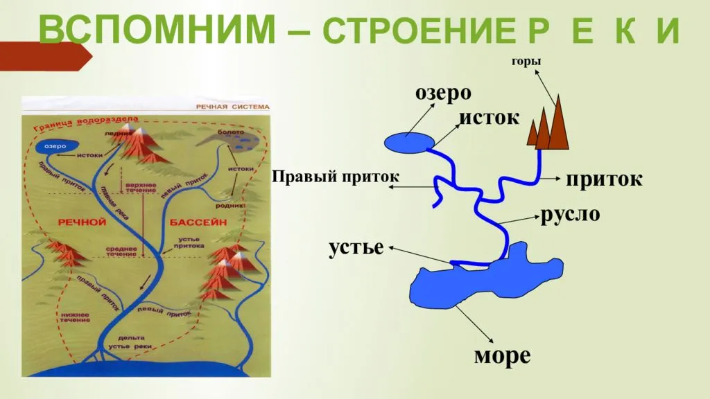 Дельта реки: причины образования, особенности :: syl.ru