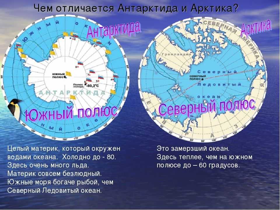 Берега каких материков омывает северный ледовитый океан. Арктика Антарктика Антарктида. Южный и Северный полюс Арктика и Антарктида. Арктика Север и Антарктида Юг. Северный Ледовитый океан и Антарктида на карте.