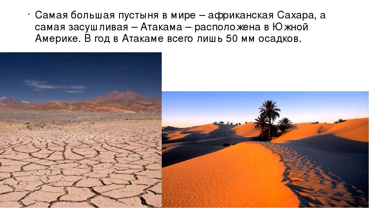 Пустыни на материке евразия. Самая большая пустыня. Сахара самая большая пустыня в мире.