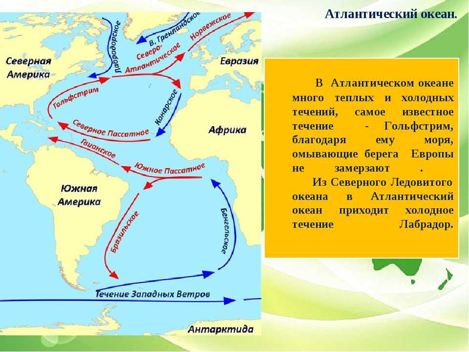 Моря атлантического океана - список и краткая характеристика