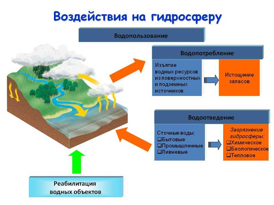 Влияние биосферы на гидросферу примеры
