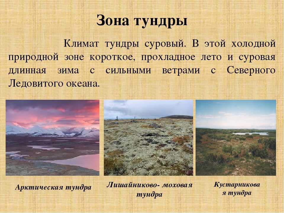 Тундра - abcdef.wiki