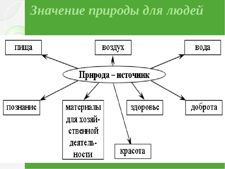 Проект по теме человек и природа