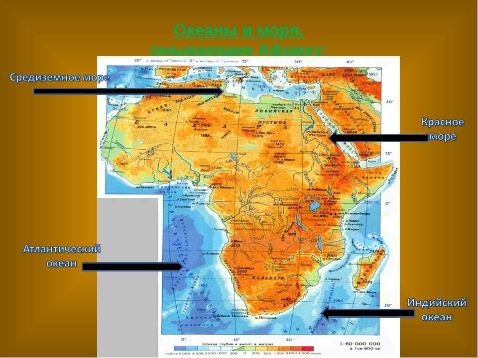 2 океанических течения у африки