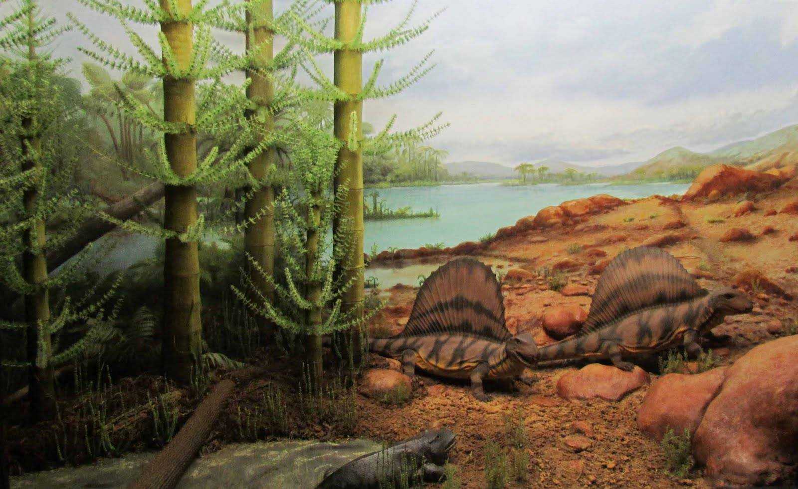 Девонский период, или девон (419 — 359 млн лет назад)