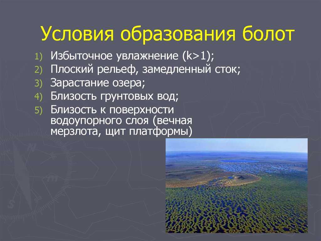 Топ 10 самых больших рек в россии