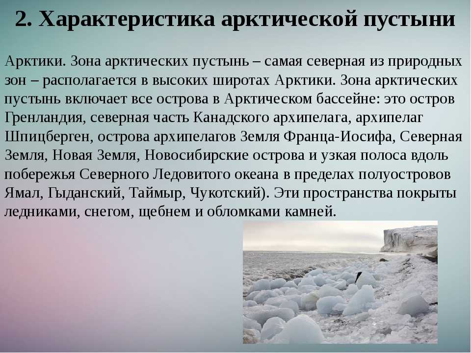 Характеристика арктического пояса: географическое положение и климатические особенности