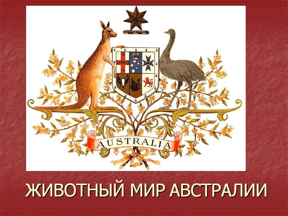 Герб западной австралии - coat of arms of western australia - abcdef.wiki
