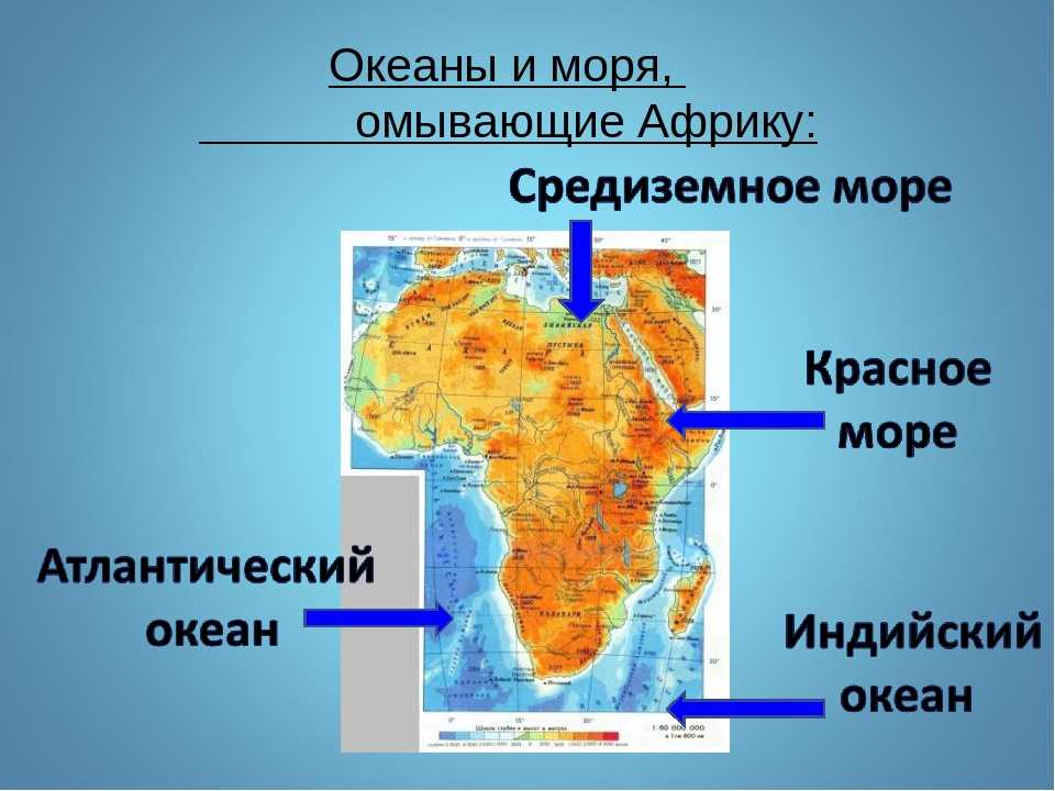 На востоке материк омывается океаном. Африка океаны и моря омывающие материк. Какие моря и океаны омывают материк Африка. Моря омывающие материк Африка. Какие моря омывают Африку на карте.