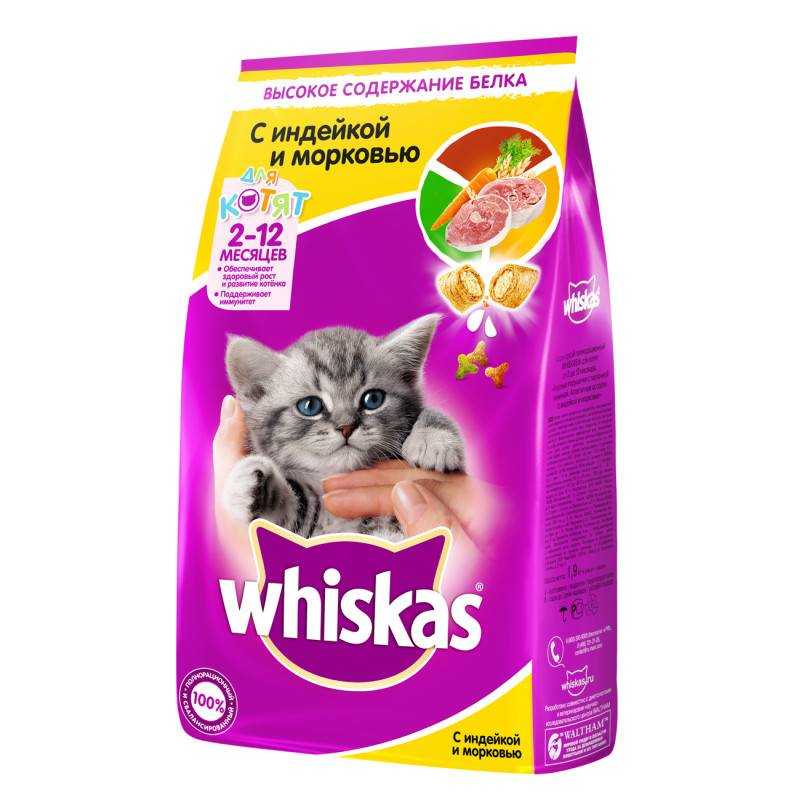 Корм для кошек вискас (whiskas) - отзывы и советы ветеринаров
