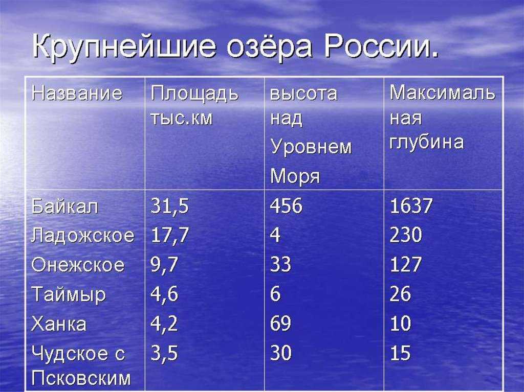 Какие равнины есть в россии: список и краткая характеристика