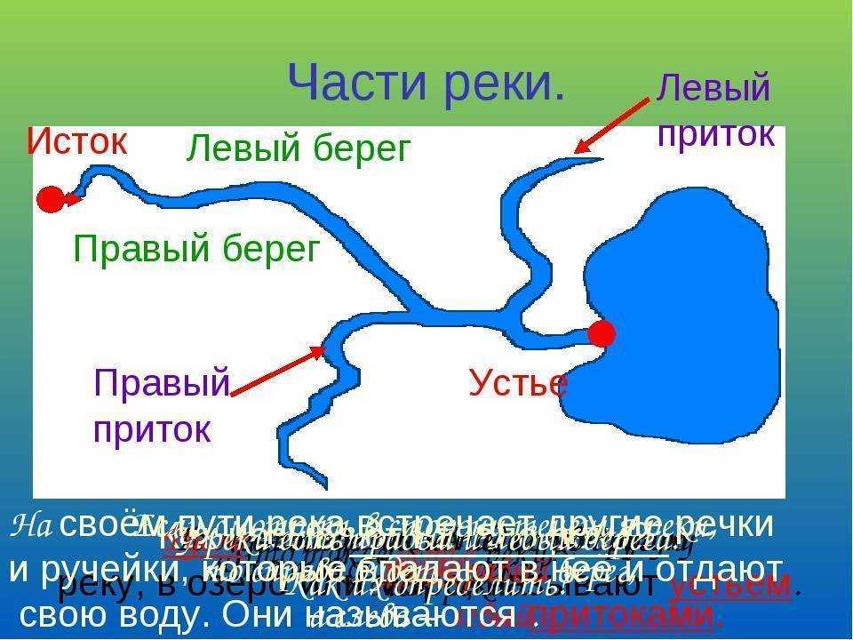 Река иртыш - географические характеристики, протяженность и притоки