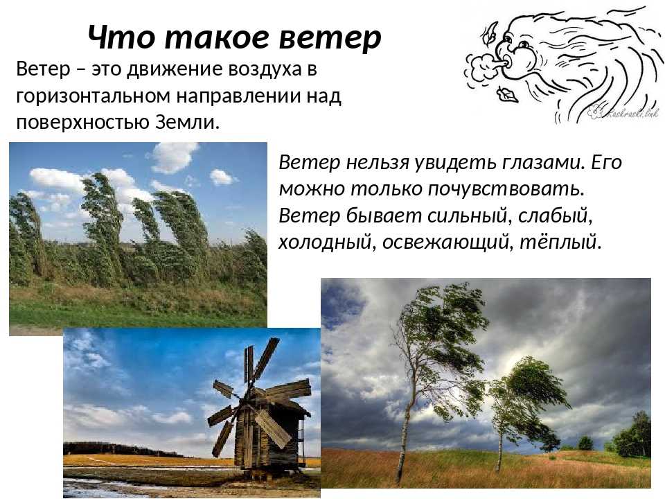 Что такое ветер, виды ветров, использование ветра человеком, откуда берется и как образуется, какие ветра имеют сезонный, постоянный характер, какие ветры вызывают образование различных течений | tvercult.ru