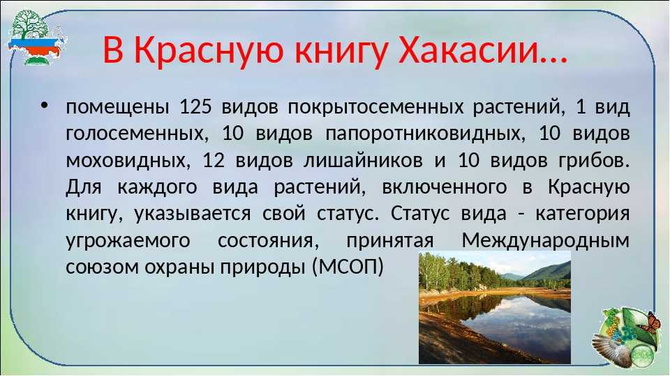 Животные, занесенные в красную книгу приморского края - названия, описание и фото — природа мира