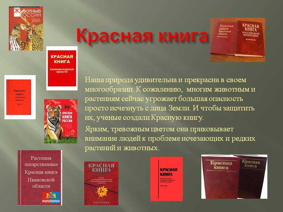 Международная красная книга - история создания, описание и цель — природа мира
