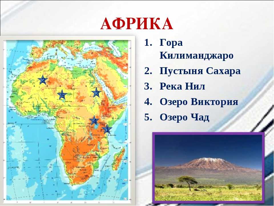 Пустыня западной африки:список, расположение на карте, животные и растения | tvercult.ru