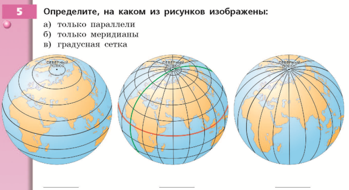Где на карте меридианы и параллели. География градусная сеть Меридиан. Градусная сетка 5 класс Полярная звезда. Экватор Меридиан параллель. Глобус география 5 класс параллели и меридианы.