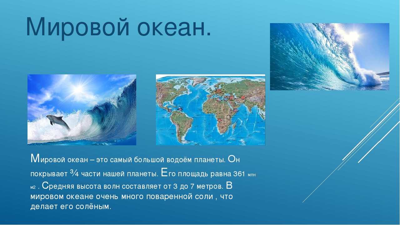 Презентация география 6 класс жизнь в океане