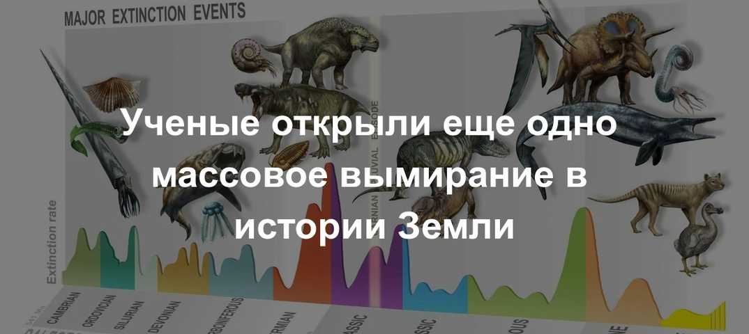 Редкие животные из красной книги россии и всего мира