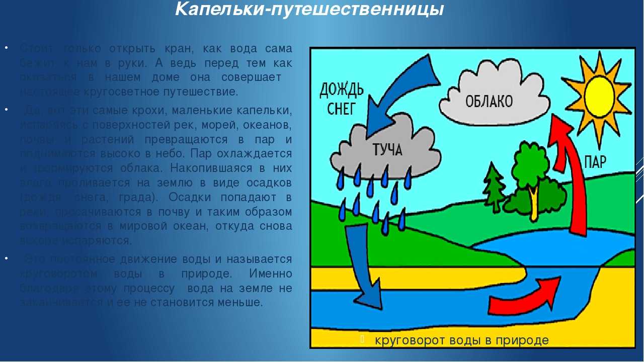 Как объяснить ребенку почему идут дожди? - gkd.ru