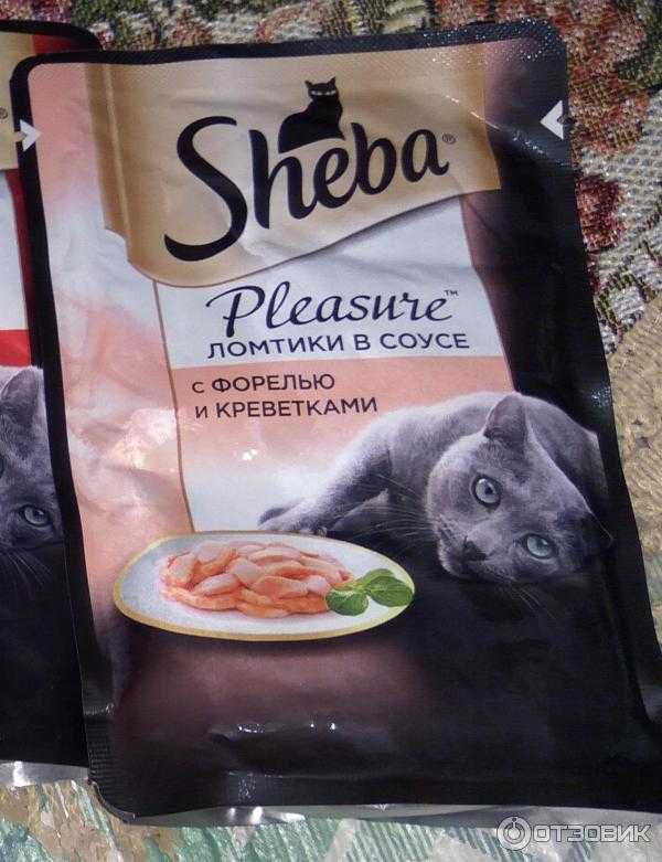Корм для кошек шеба (sheba) - отзывы и советы ветеринаров