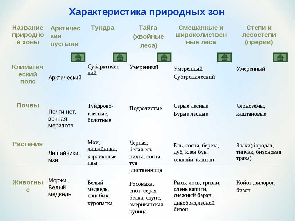 Урок 7: природные зоны - 100urokov.ru