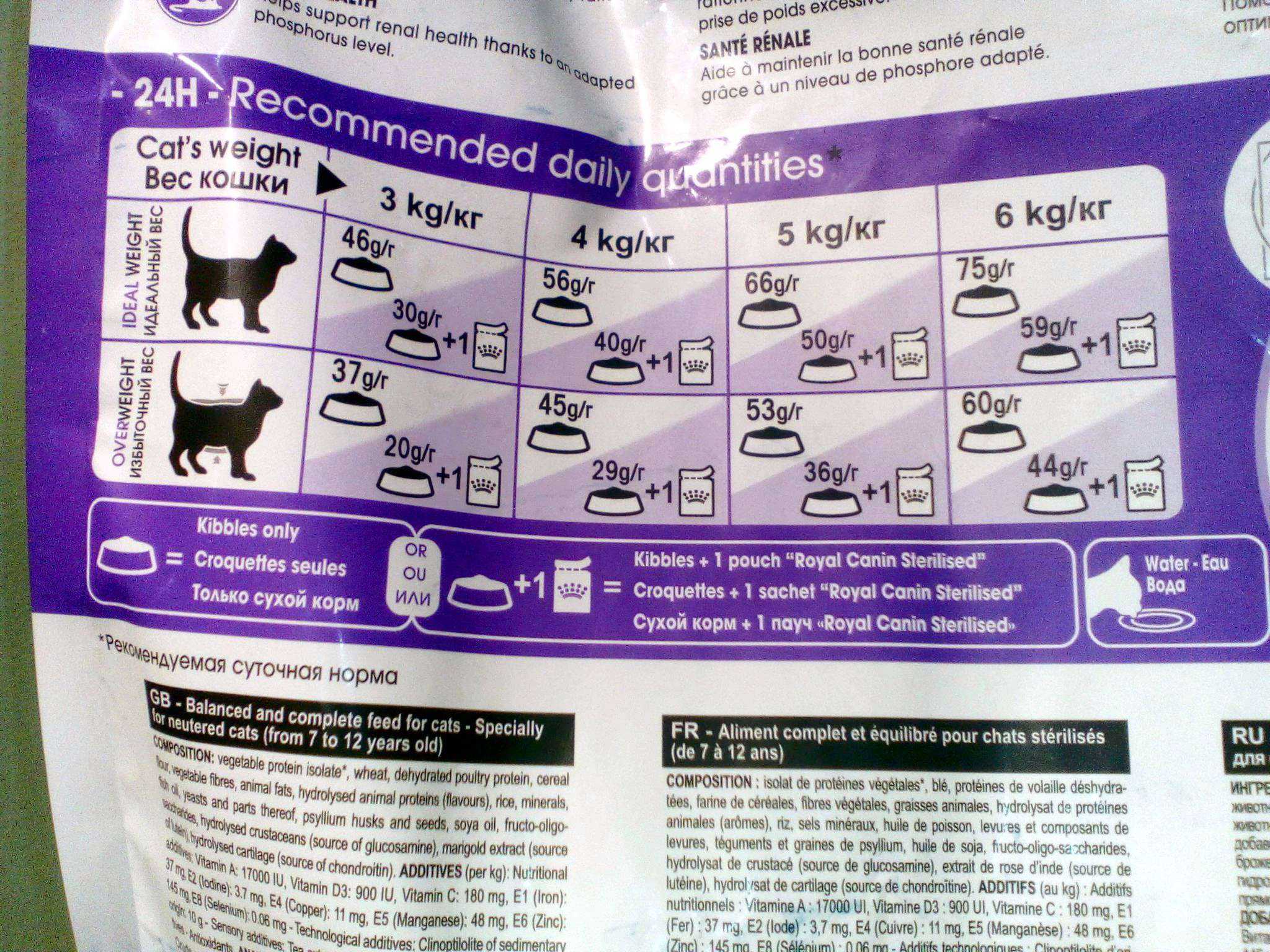 Royal canin для кошек: обзор видов, состав, советы ветеринара