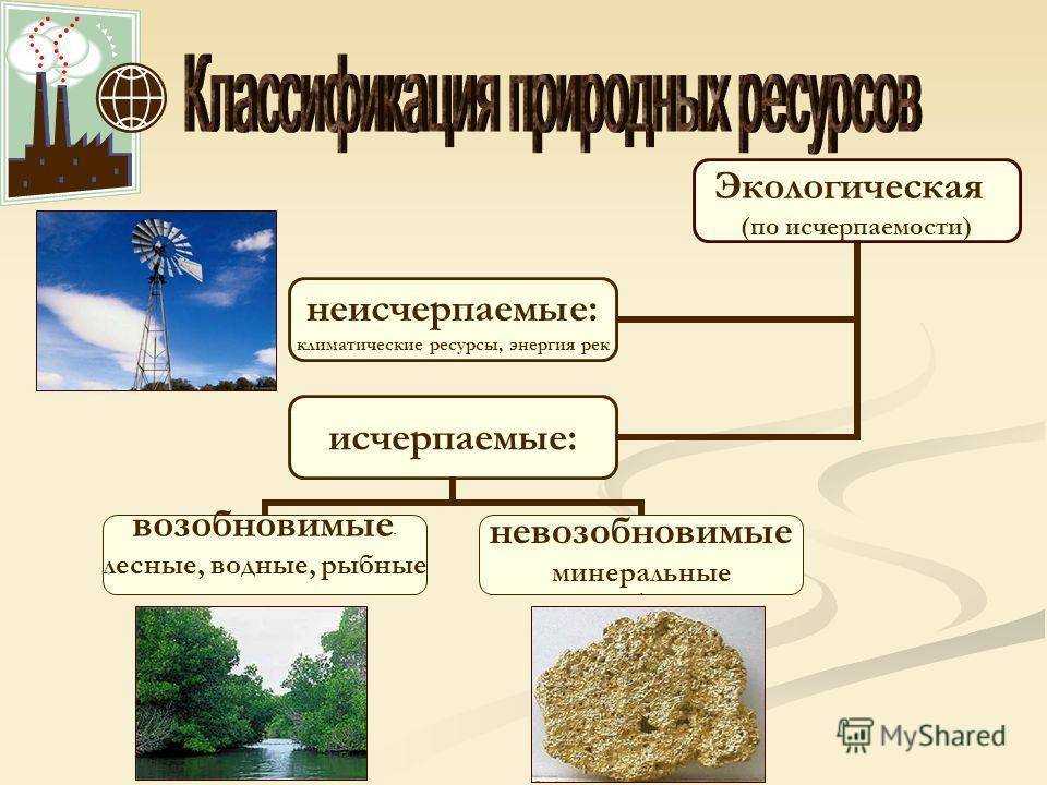 Проблемы лесных ресурсов в россии (стр. 1 из 3)