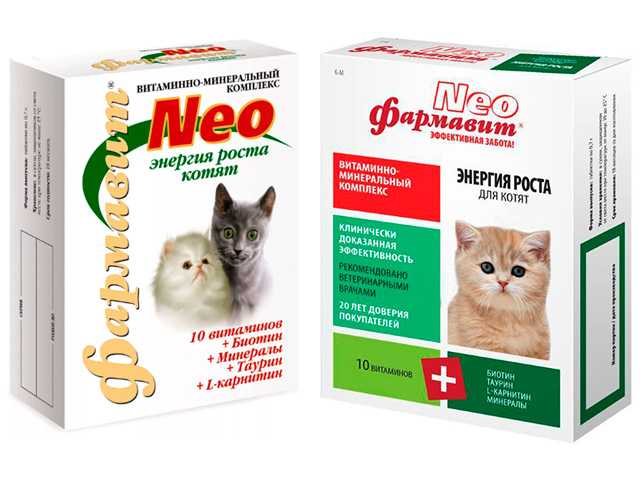 Витамины для беременных кошек. Фармавит Neo таб энергия роста для котят n60 вит-минер.комплекс. Витамины для котят. Витамины для кошек Фармавит. Комплекс витаминов для котят.