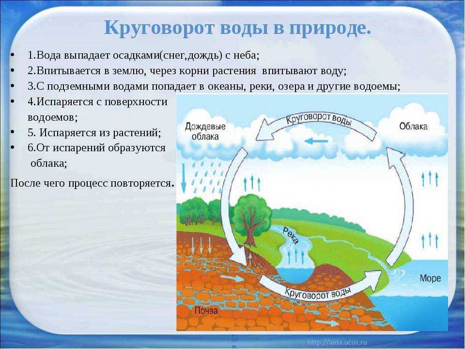 Круговорот воды в природе: роль, схема и этапы гидрологического цикла, рисунок испарения, значение, процесс, причина