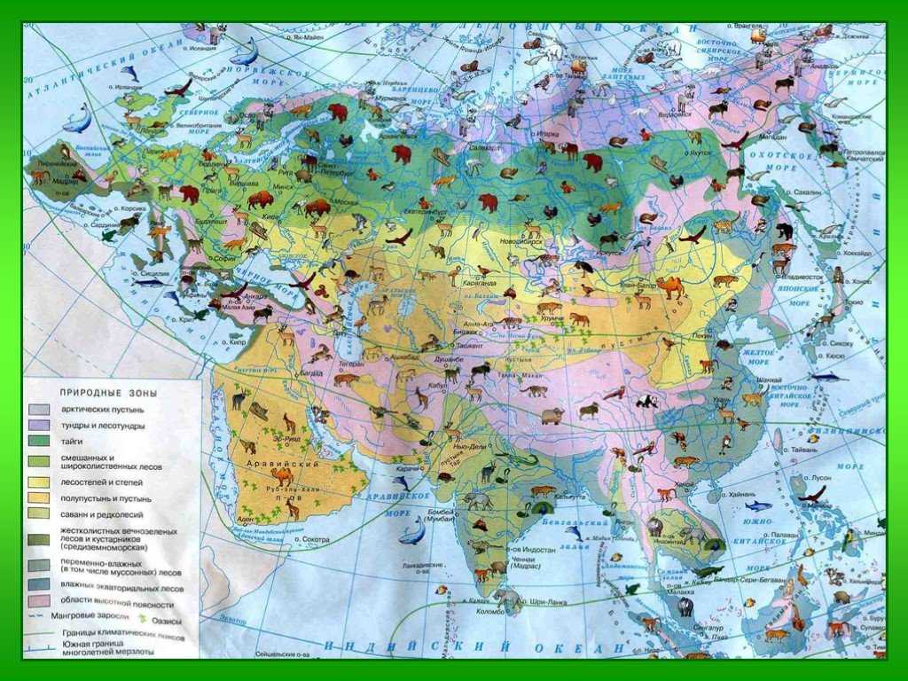 Природные зоны евразии кратко. Карта природных зон зон Евразии. Природные зоны Евразии атлас. Атлас 7 класс география Евразия природные зоны. Природные зоны Евразии 7 класс география.