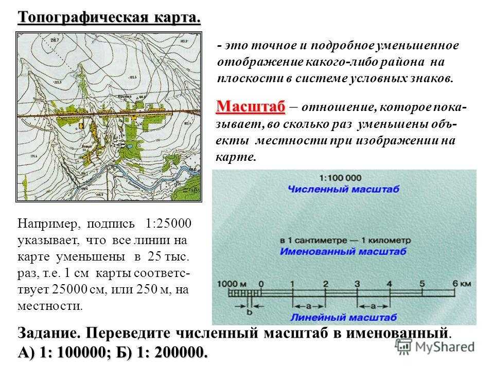 Что такое масштаб в географии, виды, масштабная линейка, как определить именованный, численный, поперечный масштаб карты, способы записи | tvercult.ru
