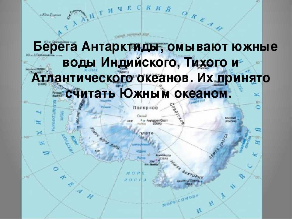 Факты об антарктиде: невероятные вещи, которых вы не знали - мой отпуск
                                             - 21 мая
                                             - 43221609711 - медиаплатформа миртесен