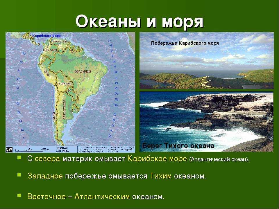 Океаны мира: карта, названия, описание, площадь, глубина, растения и животные