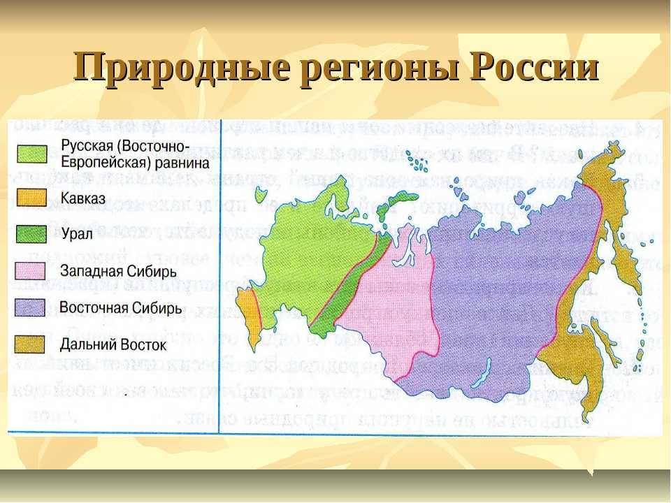 На территории Росиии выделяют 8 основных природных регионов Различия между ними возникли в первую очередь из-за геологических процессов, протекающих в недрах планеты и влияющих на рельеф местности