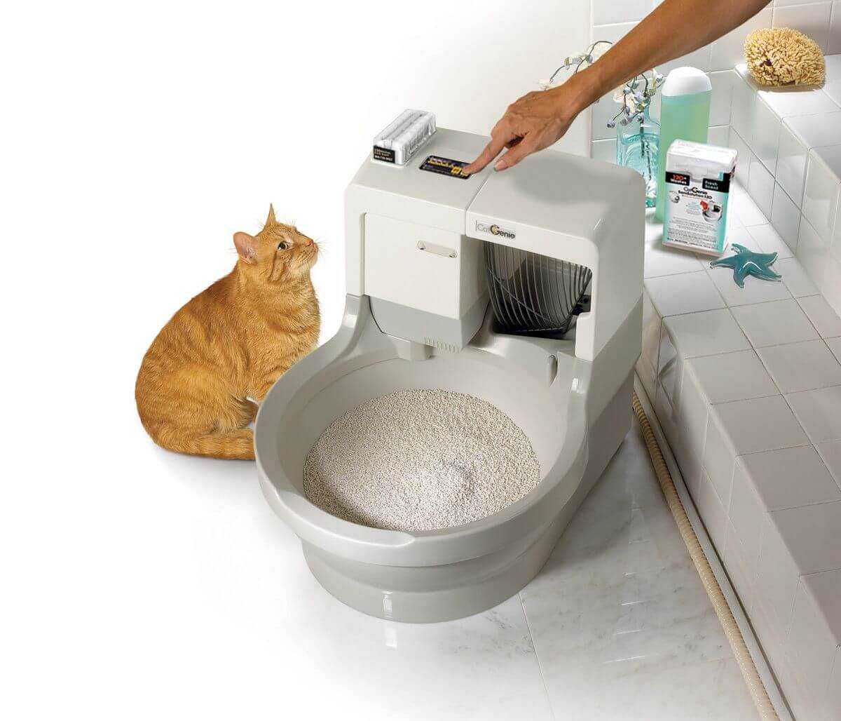 🐱 лучшие туалеты (лотки) для кошек на 2022 год