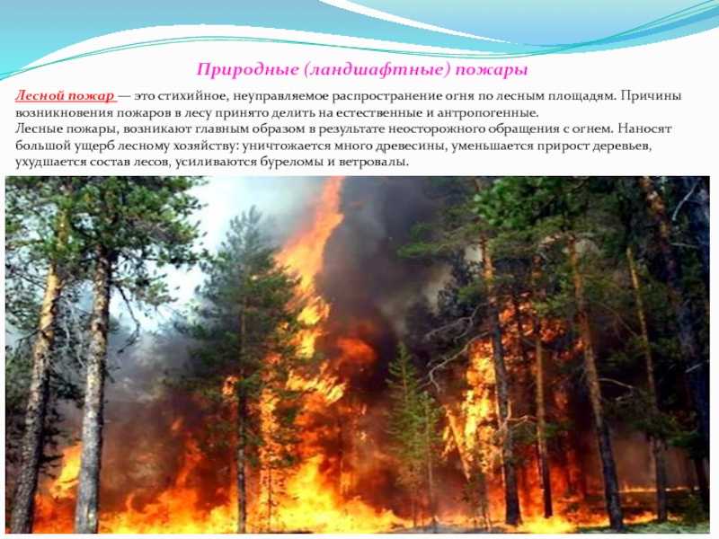 Природные пожары: причины, виды и тушение, защита населенных пунктов от чс, фото