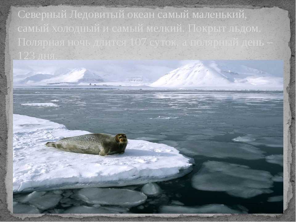 Кто открыл ледовитый океан. Северный Ледовитый океан самый маленький и холодный. Северный Ледовитый океан самый. Северного Ледовитого океана самый холодный. Северо Ледовитом океан самый маленький.